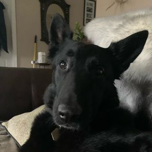 Meet your Posher, Jill